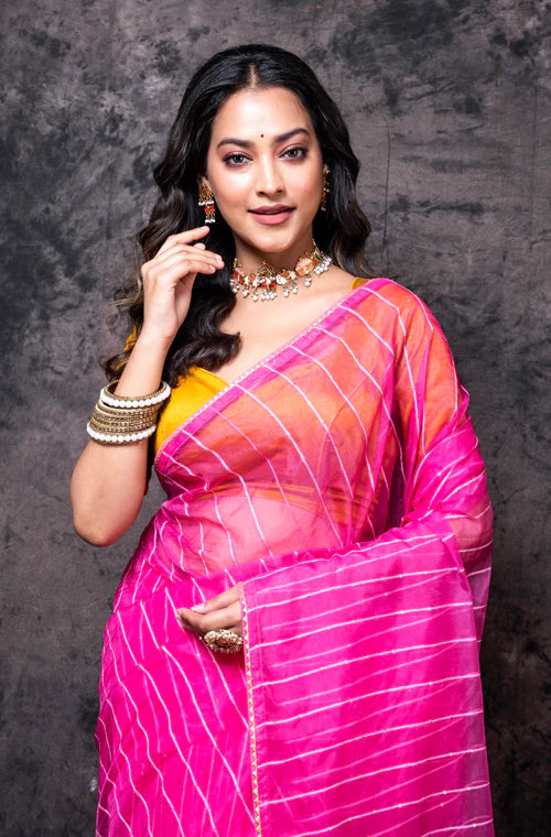 Organza Saree