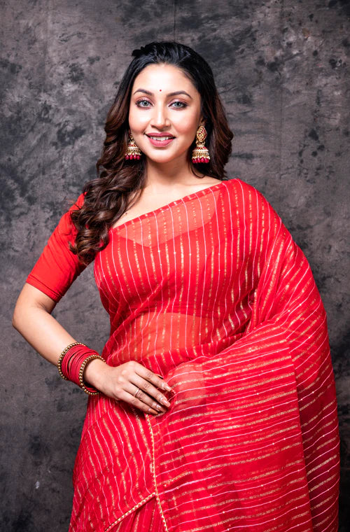 Organza Zari Heavy Saree