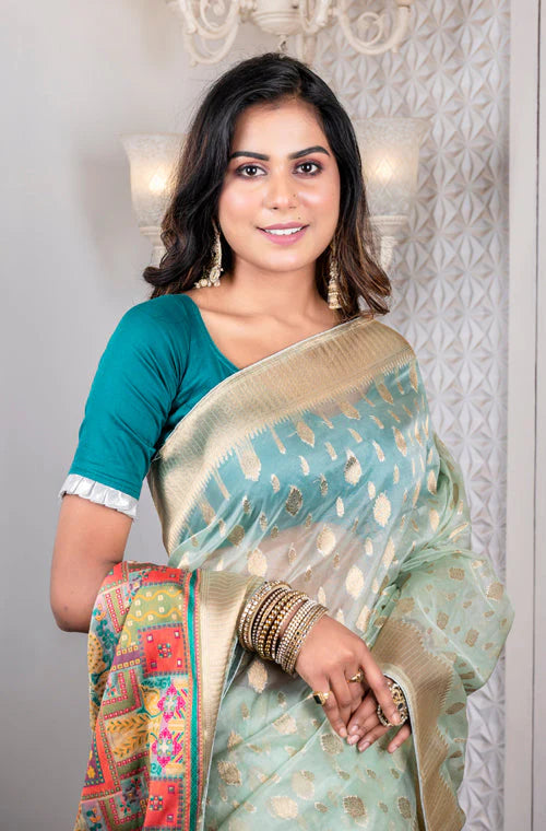 Organza Zari Heavy Saree