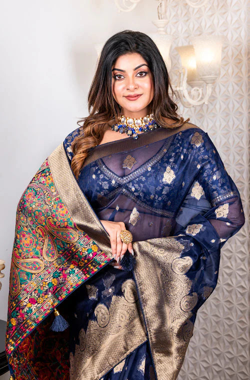 Organza Zari Heavy Saree