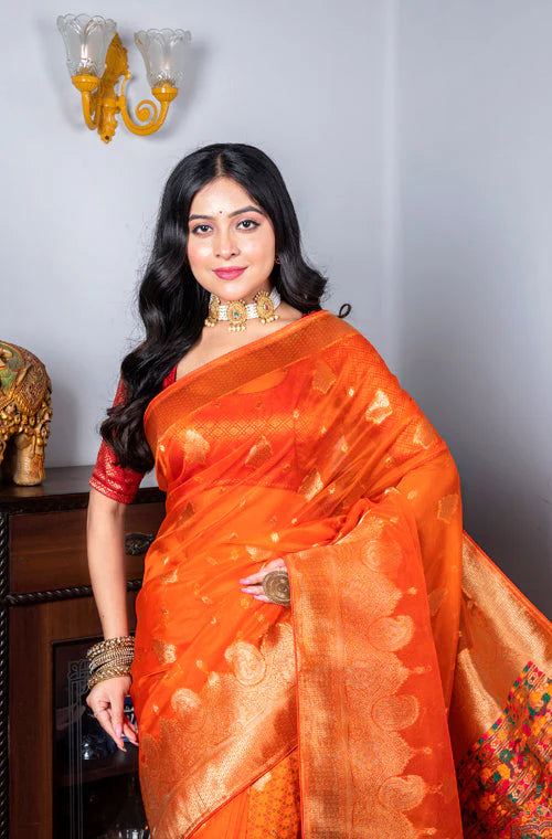 Organza Zari Heavy Saree