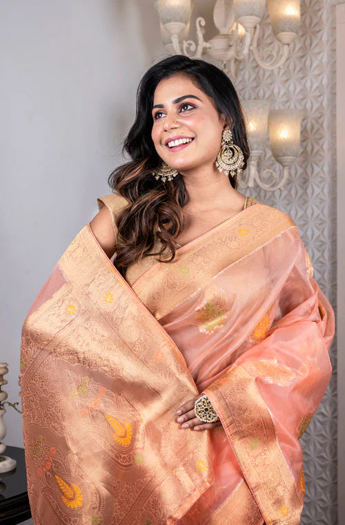 Organza Zari Heavy Saree