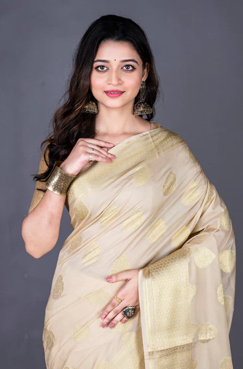 South Chanderi Silk Pan Work Saree