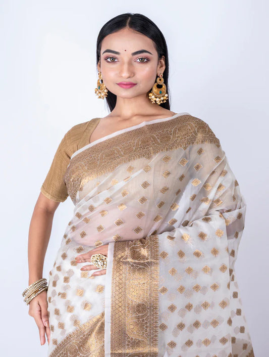 Off White Organza All Over Zari Saree