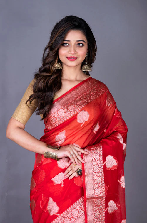 Tissue Big Butta Zari Saree