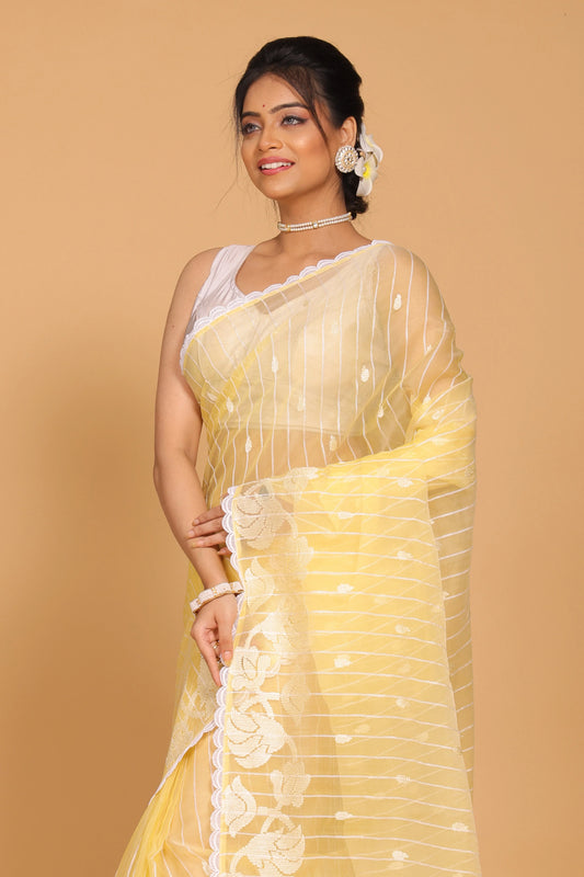 Organza Stripe Embroidery Saree